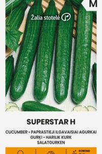 Pikk kurk ‘SUPERSTAR H’ 0,5g