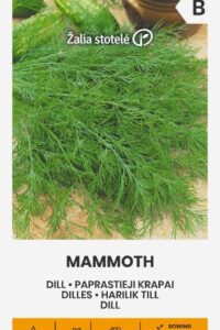 Aedtill ‘MAMMOTH’ 5g