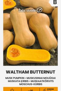 Muskaatkõrvits ‘WALTHAM BUTTERNUT’ 2g