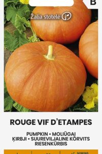 Kõrvits ‘ROUGE VIF D’ETAMPES’ 2g