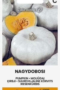 Kõrvits ‘NAGYDOBOSI’ 2g