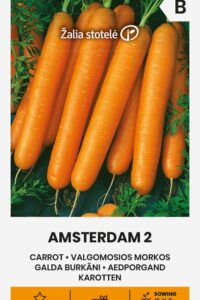 Aedporgand ‘AMSTERDAM 2’ 3g