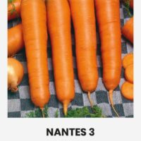 Aedporgand ‘NANTES 3’ 3g