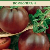 Tomat ‘BOMBONERA H’ 5s