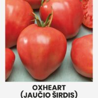 Tomat ‘OXHEART’ 0,1g