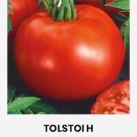 Tomat ‘TOLSTOI H’ 0,1g