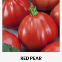 Tomat ‘RED PEAR’ 0,2g