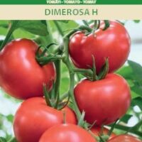 Tomat ‘DIMEROSA H’ 10s