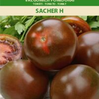 Tomat ‘SACHER H’ 5s