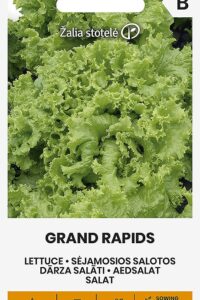 Aedsalat ‘GRAND RAPIDS’ 2g