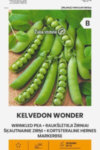 Aedhernes ‘KELVEDON WONDER’ 20g