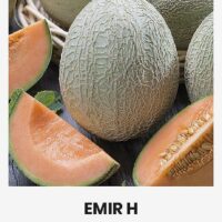 Melon’ EMIR H’ 1g