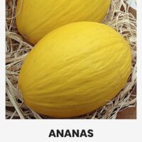 Melon ‘ANANAS’ 3g