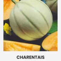 Melon ‘CHARENTAIS’ 1g