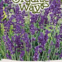 Lavendel Organic Way 1g