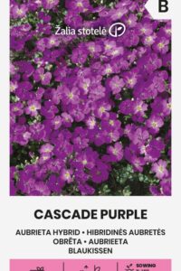 Aedaubrieeta ‘CASCADE PURPLE’  0,1g