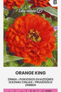 Pruudisõlg ‘ORANGE KING’  1g