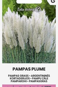 Pamparohi ‘PAMPAS PLUME’  0,2g