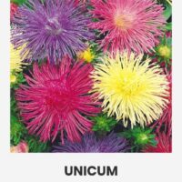 Aedaster ‘UNICUM’ värvide mix  1g