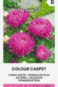 Aedaster ‘COLOUR CARPET’ roosa 0,5g