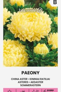 Aedaster ‘PAEONY’ kollane 0,5g