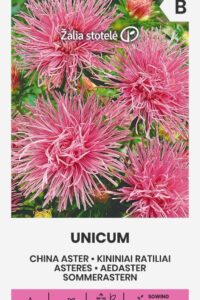 Aedaster ‘UNICUM’  roosa 0,5g