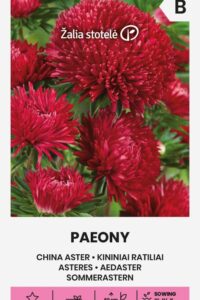 Aedaster ‘PAEONY’ punane 0,5g