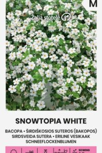 Südajas suutera ‘SNOWTOPIA WHITE’ 6s