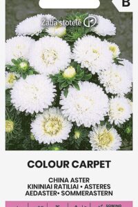 Aedaster ‘COLOUR CARPET’ valge 0,5g