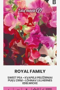 Lõhnav lillhernes ‘ROYAL FAMILY’ 3g