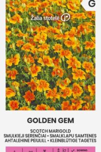 Ahtalehine peiulill ‘GOLDEN GEM’  0,5g