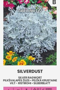 Viltleht ‘SILVERDUST’ 0,2g