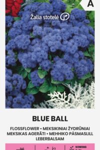 Mehhiko päsmaslill ‘ BLUE BALL’ 0,1g