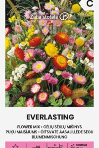 Lilleseemnesegu ‘EVERLASTING’  1g