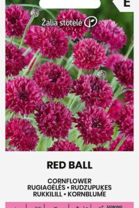 Rukkilill ‘RED BALL’  250s