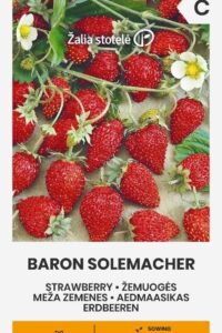 Metsmaasikas ‘BARON SOLEMACHER’ 0,1g