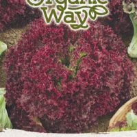 Lehtsalat ‘LOLLO ROSSA’ Organic Way
