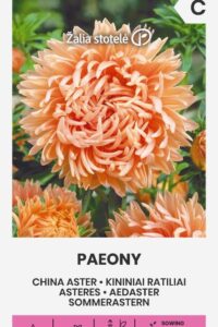 Aedaster ‘PAEONY’ 0,5g