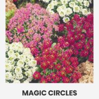 Kivikilbik ‘MAGIC CIRCLES’ värvide mix  1g