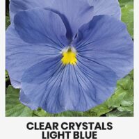 Võõrasema ‘CLEAR CRYSTALS LIGHT BLUE’  0,3g