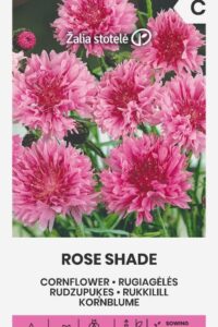 Rukkilill ‘ROSE SHADE’ 250s/1g