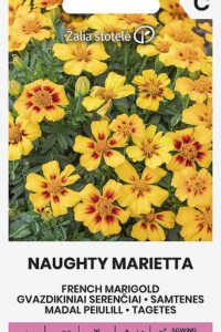 Madal peiulill ‘NAUGHTY MARIETTA’ 1g