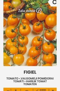 Kirsstomat ‘FIGIEL’ 0,1g