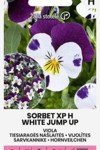 Sarvkannike ‘SORBET XP H WHITE JUMP UP’  20s