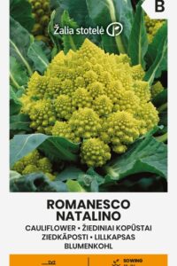 Romanesco kapsas ‘NATALINO’ 0,5g