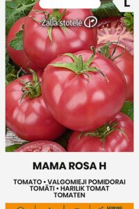 Tomat ‘MAMA ROSA H’ 10s