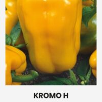 Magus paprika ‘KROMO H’ 0,1g