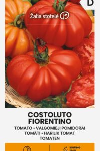 Tomat ‘COSTOLUTO FIORENTINO* 0,2g