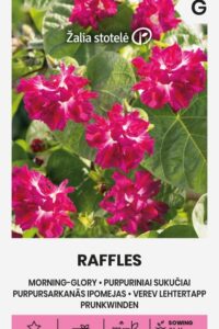 Verev lehtertapp ‘RAFFLES’ bordoo 0,5g