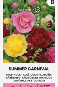 Harilik tokkroos ‘SUMMER CARNIVAL’ 0,6g